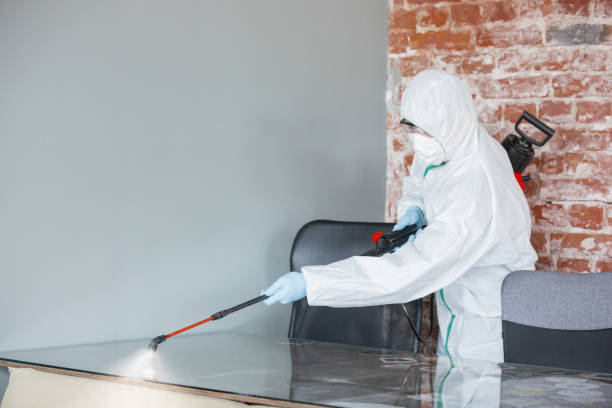 Mold Odor Removal Services in Kenova, WV